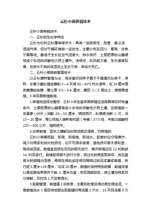 云杉小苗移栽技术