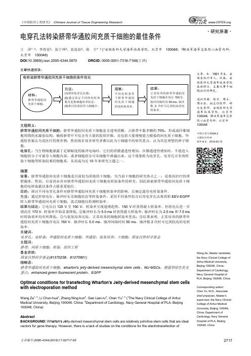 电穿孔法转染脐带华通胶间充质干细胞的最佳条件