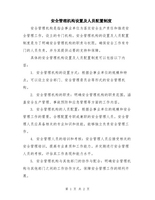 安全管理机构设置及人员配置制度