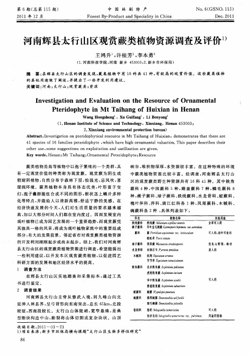 河南辉县太行山区观赏蕨类植物资源调查及评价