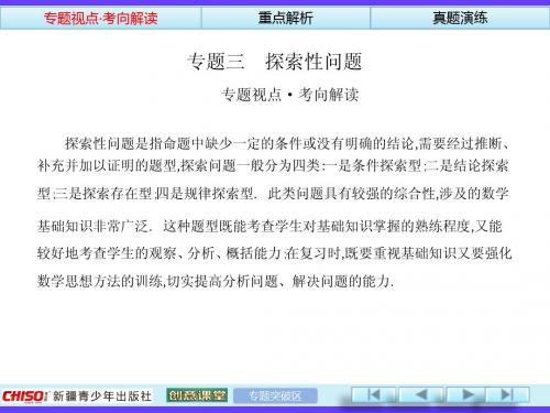 2014中考数学总复习专题3探索性问题