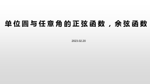 单位圆与任意角的正弦函数、余弦函数定义 课件