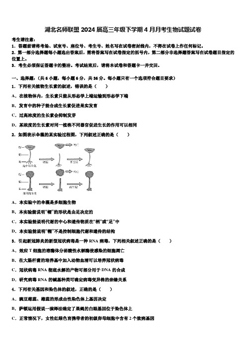 湖北名师联盟2024届高三年级下学期4月月考生物试题试卷含解析