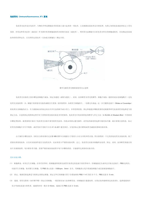 免疫荧光原理