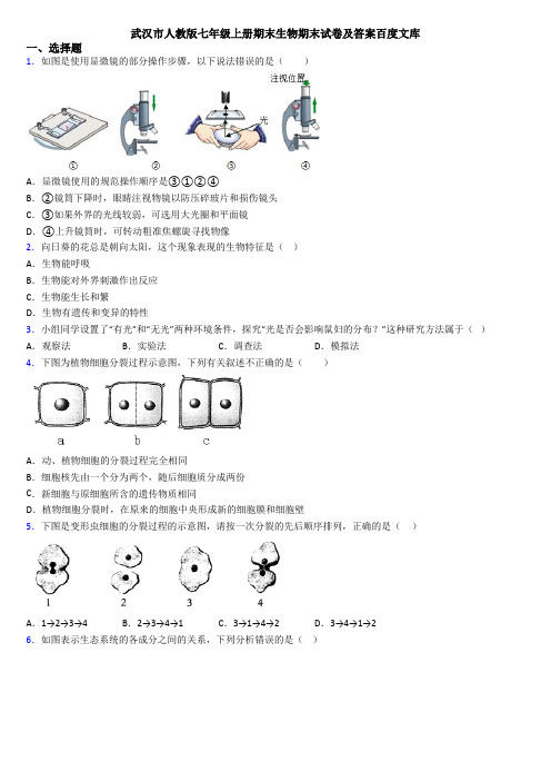 武汉市人教版七年级上册期末生物期末试卷及答案百度文库