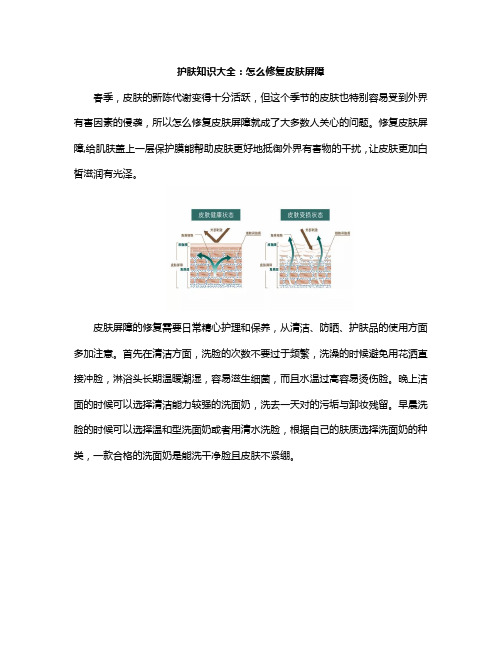 护肤知识大全：怎么修复皮肤屏障