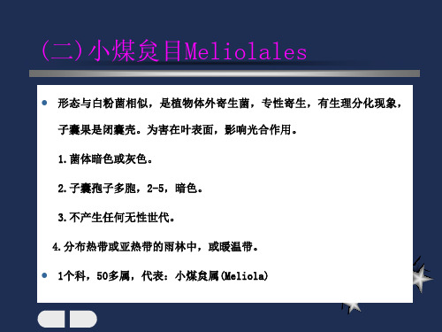 普通植物病理学第二章第三节ppt课件