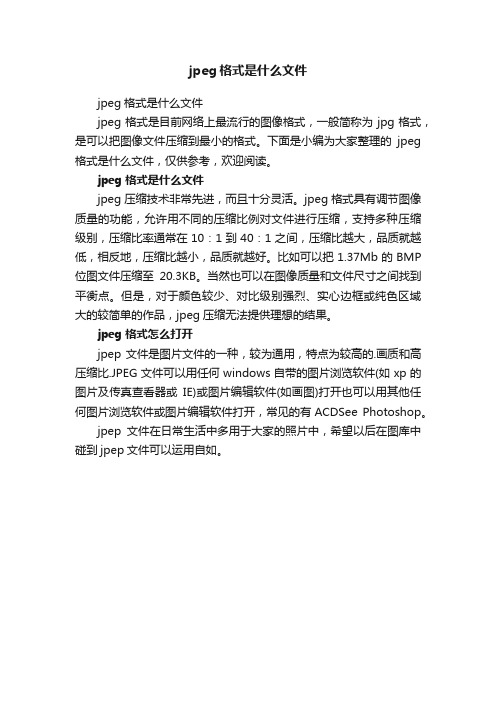 jpeg格式是什么文件