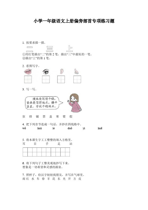 小学一年级语文上册偏旁部首专项练习题