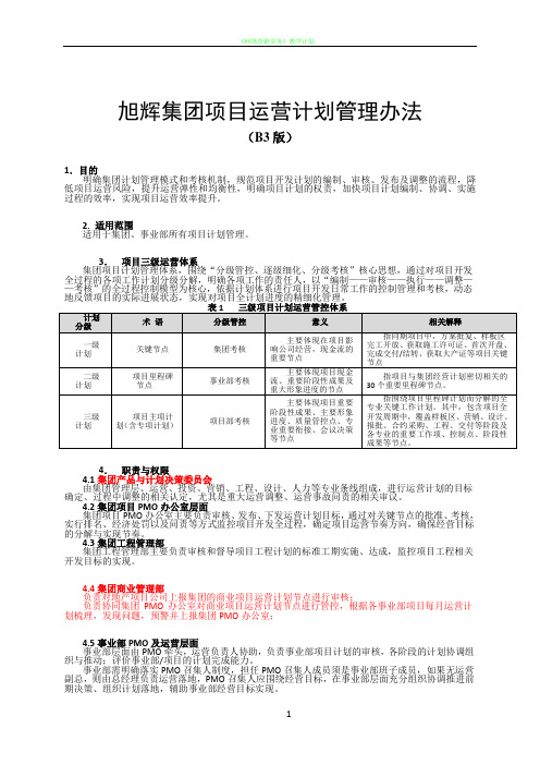 《项目运营计划管理办法B3》