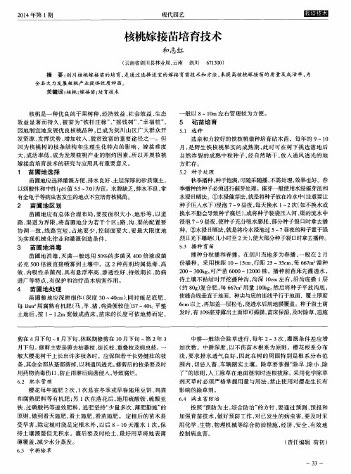 核桃嫁接苗培育技术