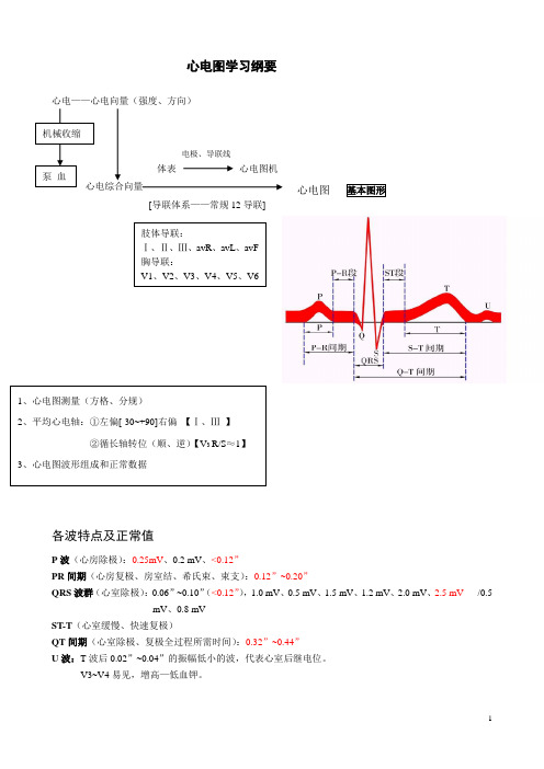 诊断学心电图学习纲要