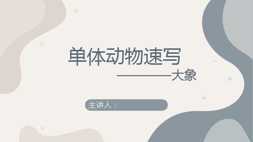 素描—— 单体动物速写(大象)——美术教案PPT课件