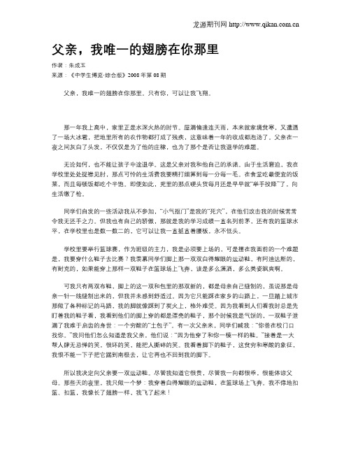 父亲,我唯一的翅膀在你那里