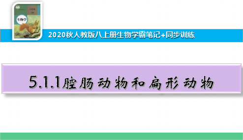 八上生物学霸笔记+同步训练5.1.1腔肠动物和扁形动物