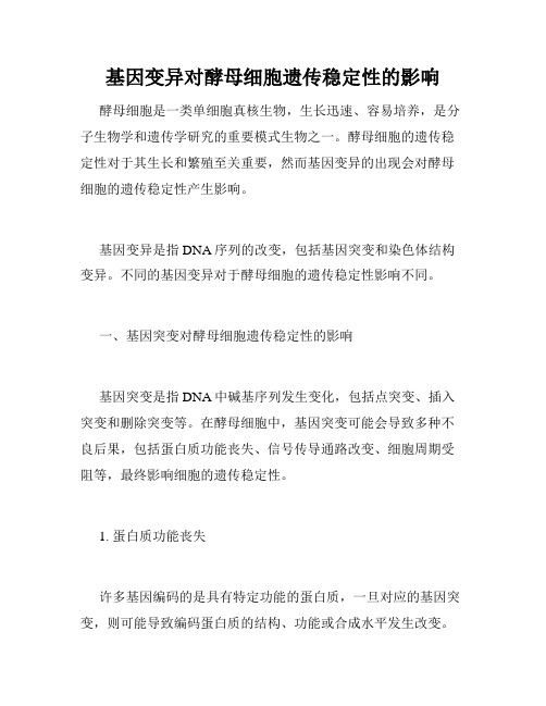 基因变异对酵母细胞遗传稳定性的影响