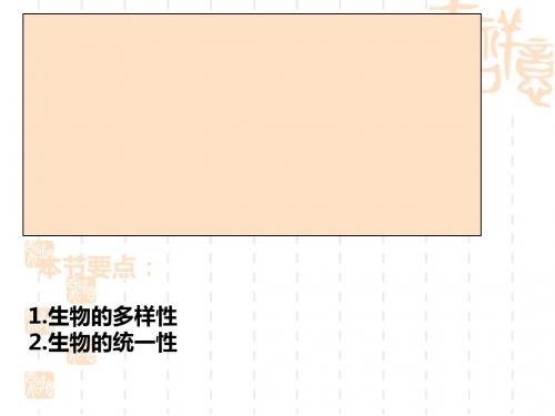 生物的多样性、统一性和进化ppt