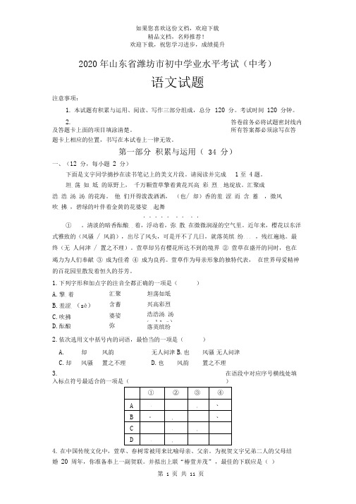 2020年山东省潍坊市初中学业水平考试中考语文试题及答案