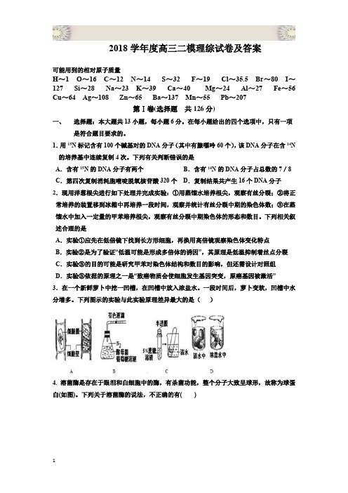 2018学年度高三二模理综试卷及答案