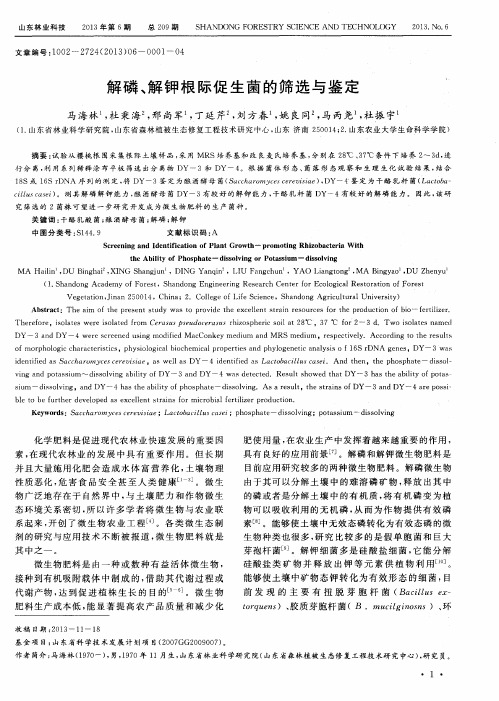 解磷、解钾根际促生菌的筛选与鉴定