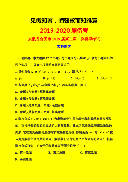 2019-2020年合肥一模：安徽省合肥市2019届高三第一次模拟考试数学(文)试题-附详细答案