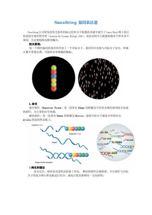 NanoString 基因表达谱