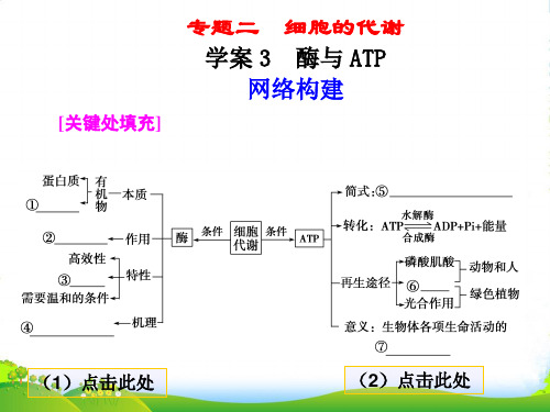 【金牌学案】高考生物二轮专题 知识专题2学案3 酶与ATP复习课件