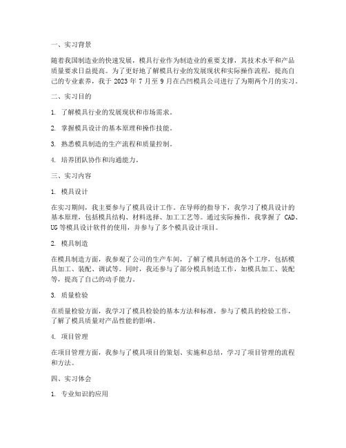 凸凹模具公司实习报告