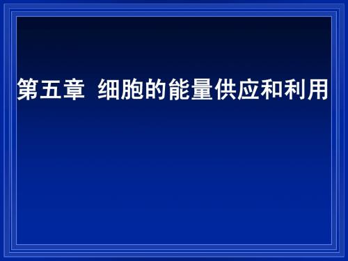 第1节 降低化学反应活化能的酶(1)w