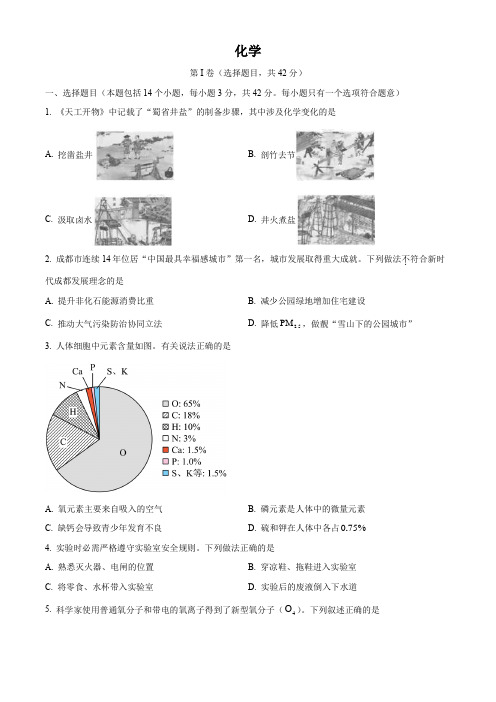 2023年四川省成都市中考化学真题(原卷版)