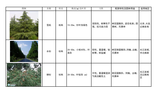 常用绿化植物种类图表