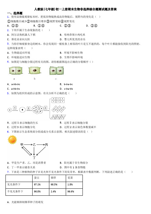 人教版(七年级)初一上册期末生物非选择综合题测试题及答案