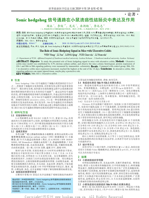 Sonic hedgehog信号通路在小鼠溃疡性结肠炎中表达及作用