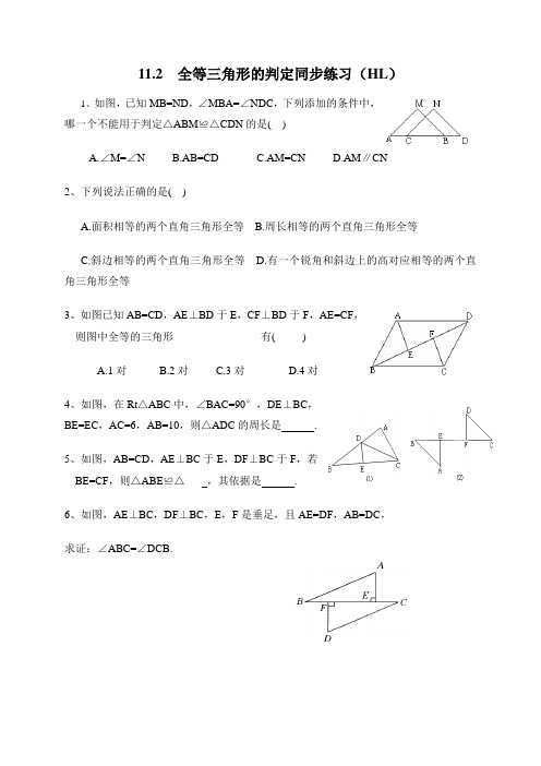 全等三角形的判定(HL)