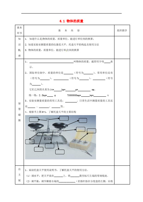 苏科初中物理八下《6.1物体的质量》word教案 (2)