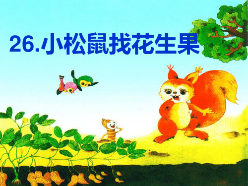 苏教版一年级下册26小松鼠找花生果PPT