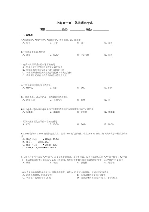 上海高一高中化学期末考试带答案解析
