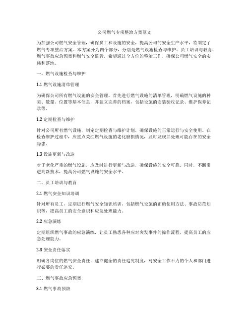 公司燃气专项整治方案范文