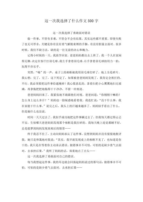 这一次我选择了什么作文500字