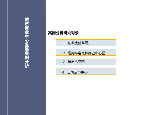 城市商业中心发展案例分析——伦敦金丝雀码头、布鲁克林商业中心、六本木、日内瓦市中心ppt课件