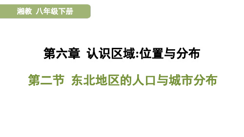 湘教版八年级地理下册 第六章 认识区域 位置与分布 习题课件 第二节 东北地区的人口与城市分布