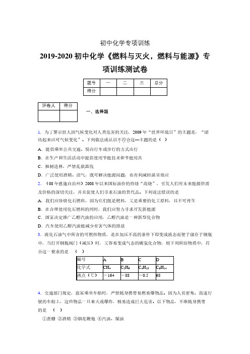 2019-2020学年初中化学《燃料与灭火,燃料与能源》专项训练模拟测试(含答案) (213)