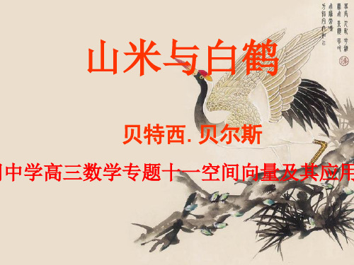 2019年湖北黄冈中学高三数学专题十一空间向量及其应用-