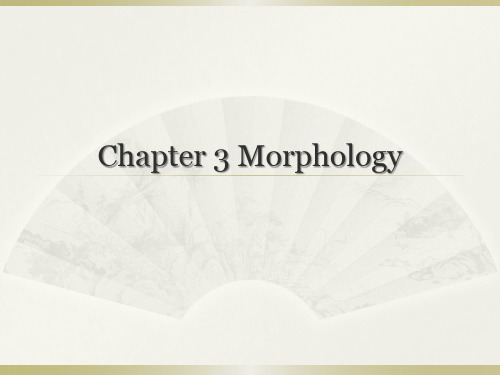 2017-Chapter 3 Morphology精讲版