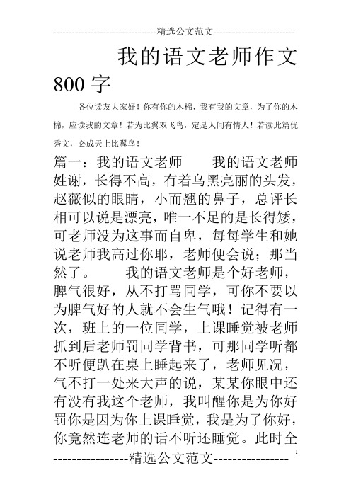 我的语文老师作文800字