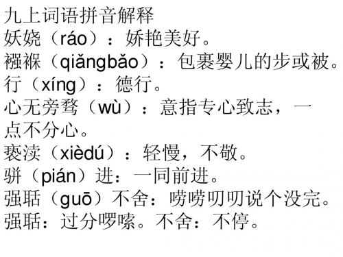 九上词语拼音解释