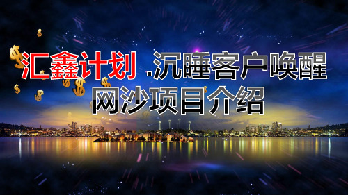 银保沉睡客户唤醒运营网纱项目介绍流程要点40页