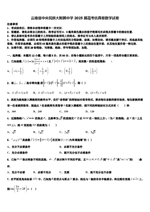 云南省中央民族大附属中学2025届高考仿真卷数学试卷含解析