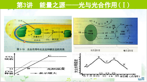 能量之源——光与光合作用(Ⅰ)课件高考生物一轮复习PPT