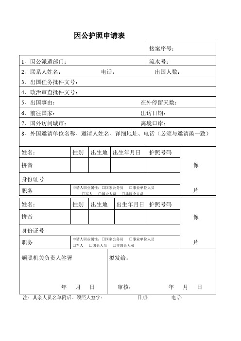 因公护照申请表